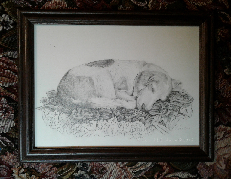 drawing-of-our-dog