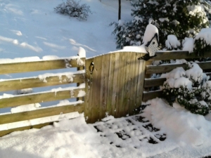 the-gate-in-snow